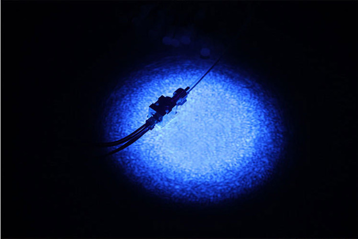 405 нм 3W Fiber Laser