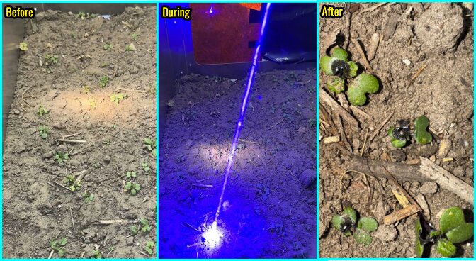 435 нм 80 Вт лазерный модуль